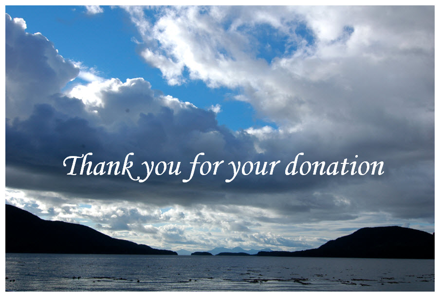 thank-you-donation