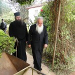 ORTHODOXY IN AFRICA 11